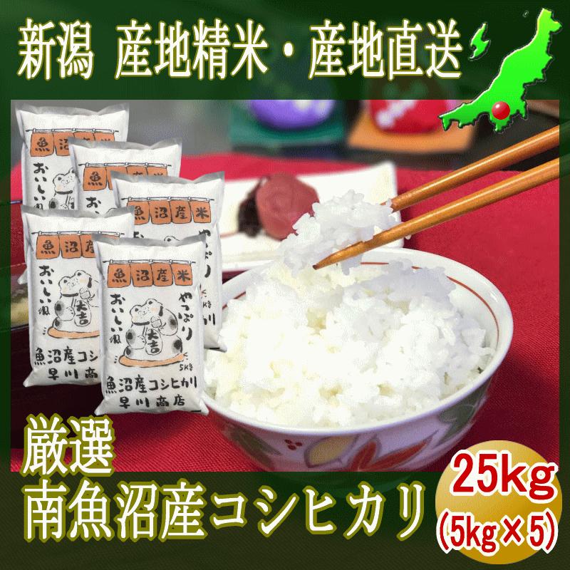 魚沼産コシヒカリ 南魚沼産 25kg （5kg×5） 塩沢 厳選 令和４年産