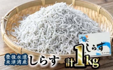 豊後水道 米水津産 しらす (計1kg・500g×2P) 