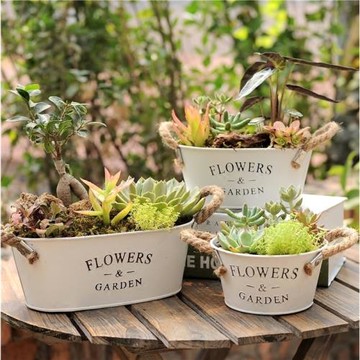 北歐風簡約金屬鐵皮多肉植物花盆桶套裝組合田園花桶肉肉鐵藝花器