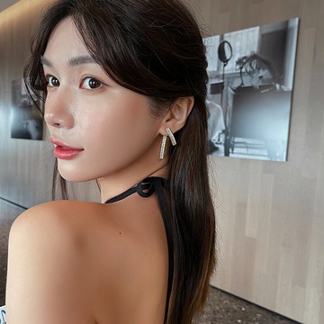 塔蘭鋯石微鑲長條耳環女夏季奢華氣質925銀針耳釘網紅冷淡風耳飾