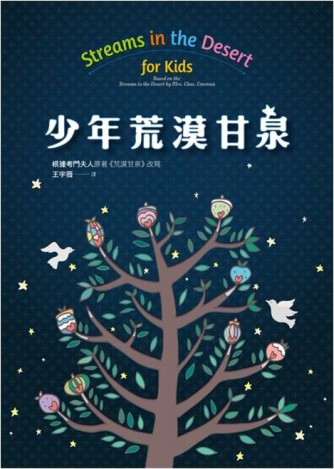 少年荒漠甘泉[二手書_良好]