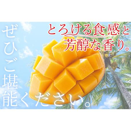 ふるさと納税 予約受付！数量限定＜宮崎県産 太陽のタマゴ A等級 2Lサイズ×3玉（合計約1kg）＞2024年4月下旬〜2024年6月下旬.. 宮崎県国富町