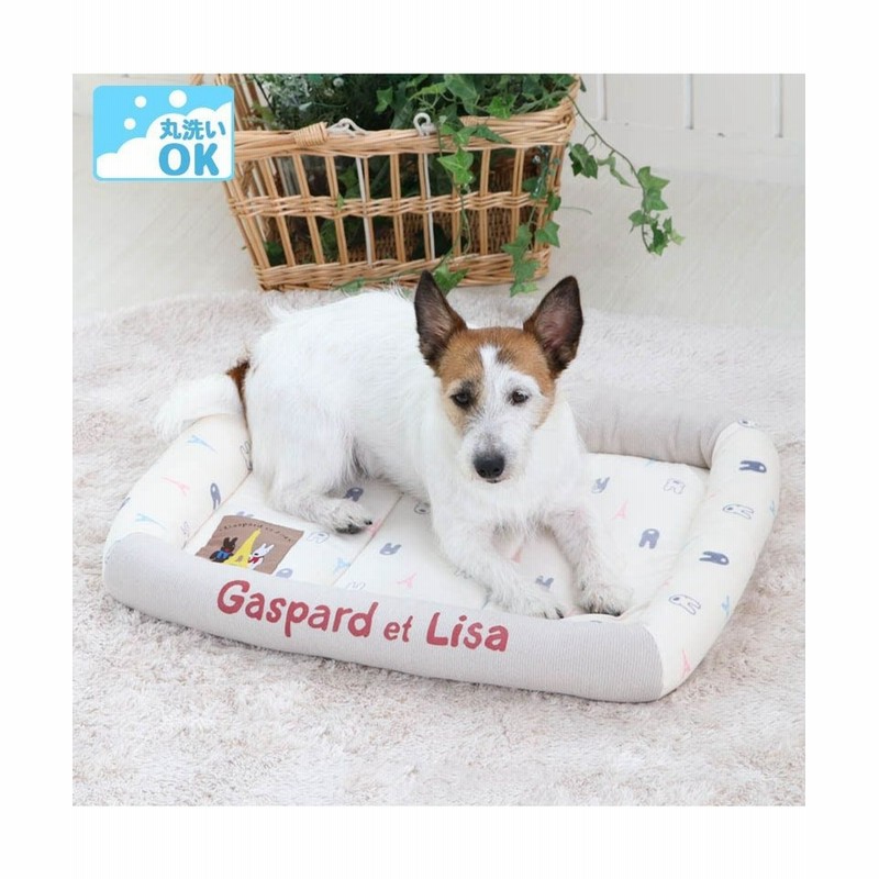 オンワード Pet Paradise ペットグッズ 犬 カドラー リサとガスパール カドラーベッド 57 45cm ウォッシャブル 洗える 犬 猫 ペットベット ハウス 小型犬 介護夏クッション 白 オフホワイト ｐ 5ｋ 通販 Lineポイント最大1 0 Get Lineショッピング