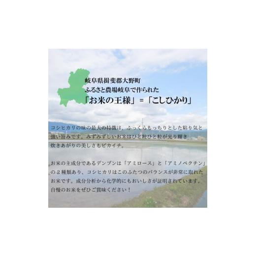 ふるさと納税 岐阜県 大野町 岐阜県産 こしひかり 10kg