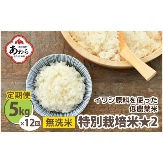 ふるさと納税 福井県 あわら市 《定期便12回》特別栽培米 コシヒカリ 5kg × 12回 （計60kg） 無洗米 低農薬 ／ 福井県 あわら市 ブランド米 白…