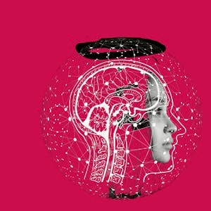 Innovation & Entrepreneurship - From Design Thinking to Funding