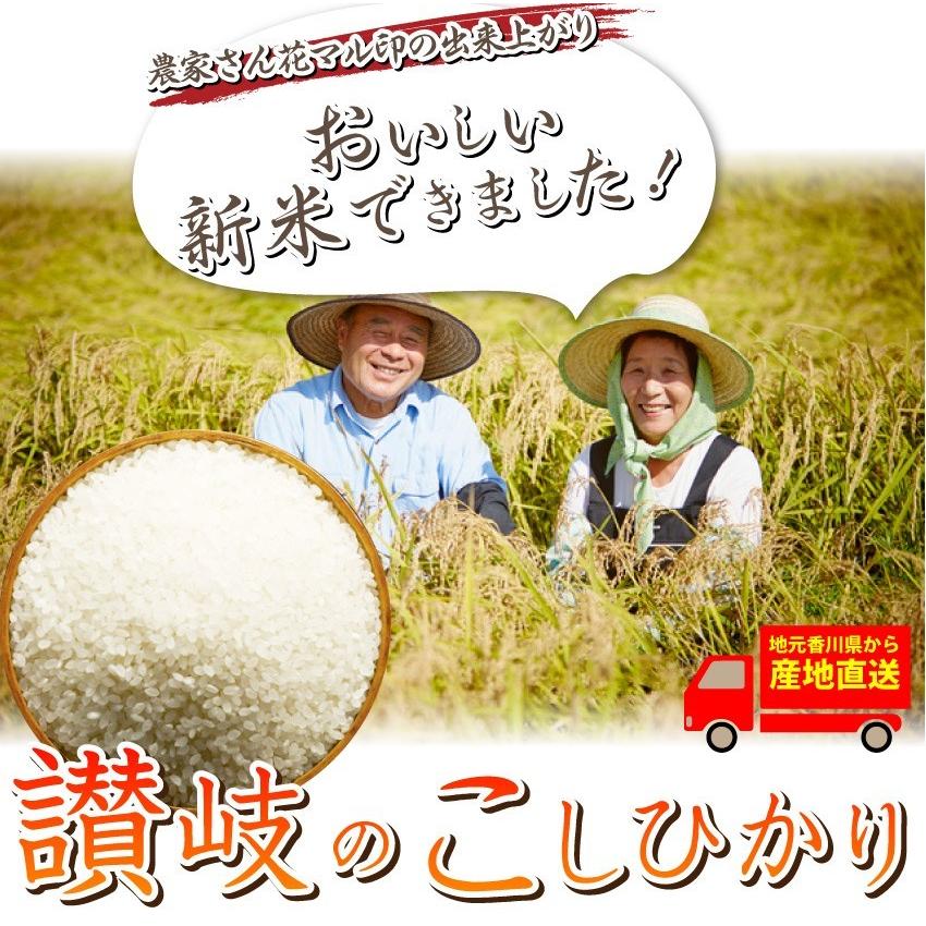 令和4年度産 新米 こしひかり 香川県産 10kg 讃岐米 グルメ お歳暮 ギフト 食品 プレゼント 女性 男性 お祝い 新生活