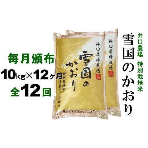 ふるさと納税 新潟県 南魚沼市 南魚沼産コシヒカリ「雪国のかおり」１０kg毎月頒布（１年間　全１２回）