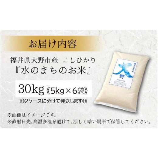 ふるさと納税 福井県 大野市 こしひかり（福井県大野市産）エコファーマー米（白米）30kg（5kg×6袋）