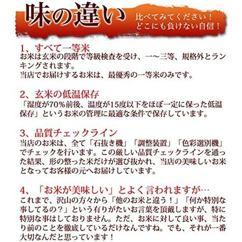 新米 精米山形県産 白米 こしひかり １０kg(5kg×2袋) 令和4年産