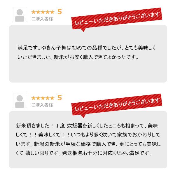 新米 5kg ゆきん子舞 お米 5キロ 令和5年産 新潟県産 産直 精米 白米