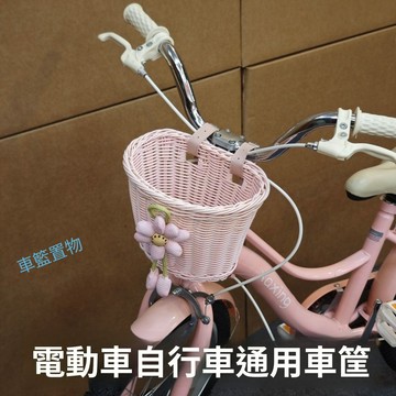 臺灣出貨🛒可愛花朵兒童自行車車籃 復古車筐 平衡車滑板車編織前筐 溜娃車籃子 車頭車框 腳踏車置物籃 車籃 HLJ