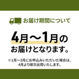 ふるさと納税 利尻昆布 北海道 利尻島産 天然 根昆布 540g（270g×2袋） 昆布 こんぶ コンブ だし 出汁 だし昆布 海産物 加工食品 乾物 利尻 北海道利尻町