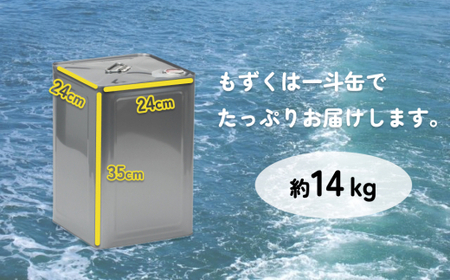 勝連産・太もずく（塩蔵タイプ）　約14kg一斗缶入り