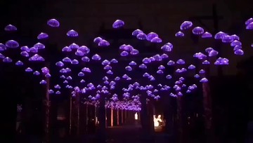 水母小吊燈音樂餐廳七彩變色氛圍光纖酒吧臺裝飾燈廣場景觀吊燈