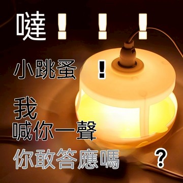 隔日達🔥捕蚤 捕跳蚤燈 物理趨光抓捕 跳蚤 捕跳蚤 寵物 跳蚤燈 跳蚤用品 寵物跳蚤 跳蚤誘捕燈 神器捕蟲燈 床上孕婦嬰