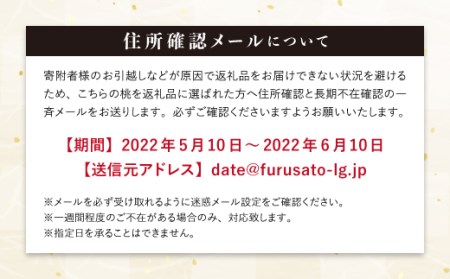 〈先行予約〉固い桃　伊達市産桃　おどろき　3kg（7～11玉） F20C-499