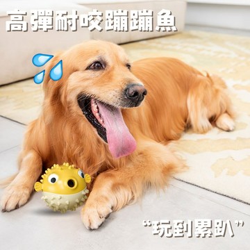 狗狗玩具 小狗漏食玩具 寵物魚形玩具 寵物互動玩具 小狗益智玩具 狗狗自嗨解悶神器 小狗訓練玩具 狗狗磨牙玩具 磨牙潔齒