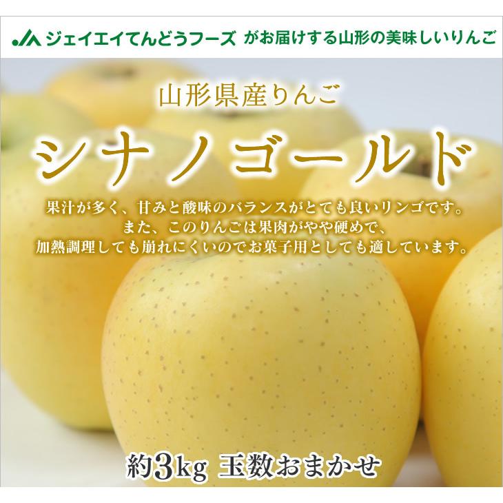 お歳暮 秀品 りんご シナノゴールド リンゴ 約3kg 山形県産 林檎 山形 送料無料(一部地域別途送料)