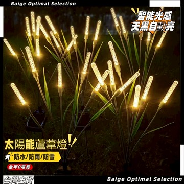 隔日達🎈太陽能蘆葦燈 太陽能地插燈 太陽能草坪燈 太陽能裝飾燈 裝飾燈 草坪燈 太陽能戶外燈 太陽能感應燈 太陽能燈