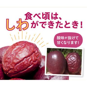 ふるさと納税 農薬・化学肥料不使用　奄美パッションフルーツ1kg（12個前後）家庭用 パッションフルーツ 奄美産 家庭用 1.. 鹿児島県奄美市