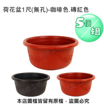 荷花盆1尺(無孔)-咖啡色.磚紅色 5個/組磚紅色