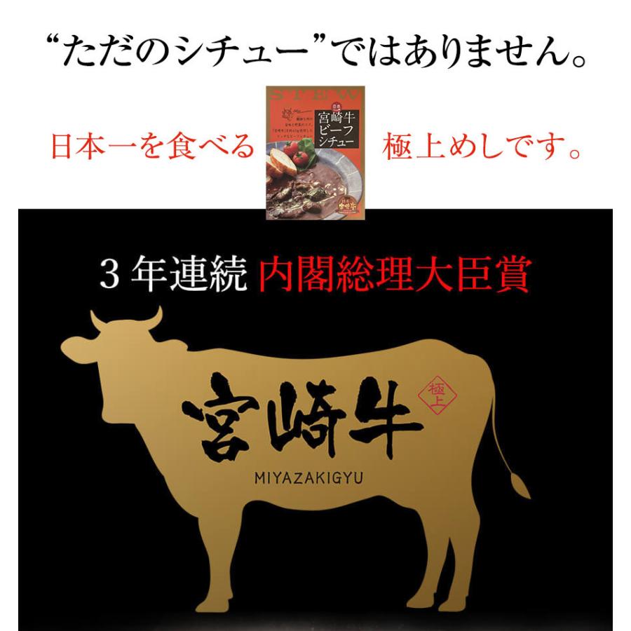 送料無料 宮崎牛ビーフシチュー 200g×2個 お手軽便