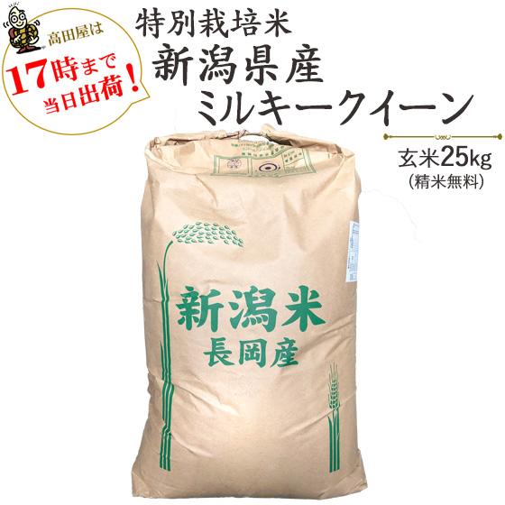 令和５年産　お米 25kg 特別栽培米新潟産ミルキークイーン玄米25kg   白米4.5kg×5袋　 送料無料(一部地域を除く)