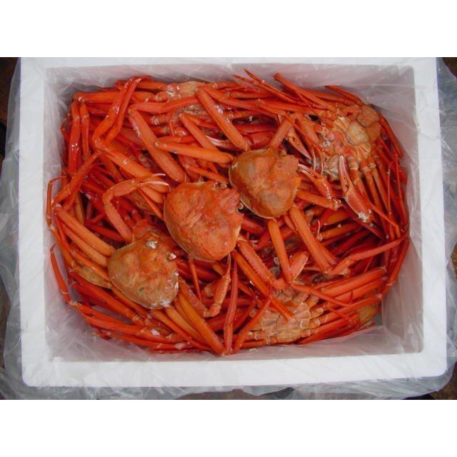 名人の浜茹で蟹、B10kg(冷凍) 蟹の本場、山陰境港産　(紅ずわい蟹)