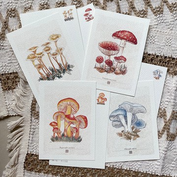 復古的蕈類圖鑑 萬用卡片 / 明信片
