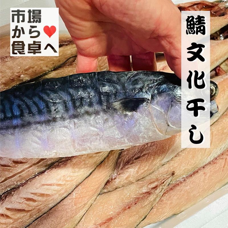 さば文化干し 鯖の干物 12枚(1枚当たり約100g)脂のっています