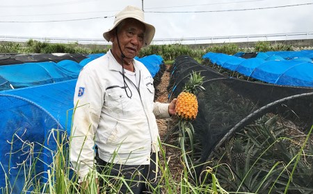 久米島印商店「ゴールドバレル」黄金パイナップル1個