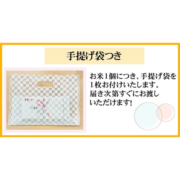 引越し 挨拶 ギフト 米 真空パック 新米 無洗米 新潟 コシヒカリ 2合 300g×6袋 名入れ可 令和5年産 メール便送料無料