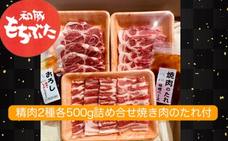和豚もちぶた 精肉2種各500g詰め合わせ 焼き肉のたれ付セット