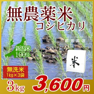 お米 3kg 無洗米 農薬不使用米 希少米コシヒカリ (1kg×3袋) エコ梱包 令和5年産 新米   1kg小分け 米 新潟米 ブランド米 アイガモ農法