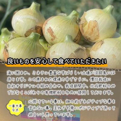 ふるさと納税 淡路市 まるでフルーツ?!淡路島産ブランド新玉ねぎ 極早生 「にじたま」20kg