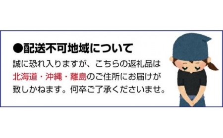 和歌山県産紀の川のカット巨峰約800g