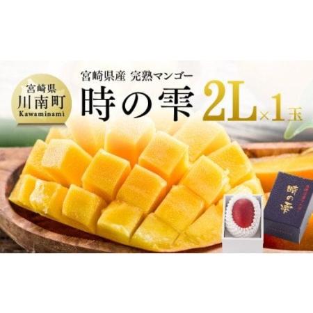 ふるさと納税 令和６年産 宮崎県産完熟マンゴー「時の雫」2L×1玉【 期間限定 数量限定 先行予約 果物 フルーツ マンゴー 宮崎県産 九州産 .. 宮崎県川南町