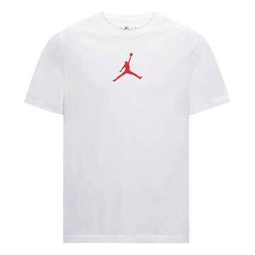 Air Jordan MENS Jumpman Casual Crew-neck Short Sleeve Sports White