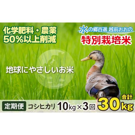 ふるさと納税 こしひかり 10kg × 3回 計30kg減農薬・減化学肥料 「特別栽培米」地球にやさしい.. 福井県大野市