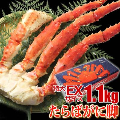 ふるさと納税 亘理町  たらばがに 脚 EXサイズ 1.1kg×1本 マルヤ水産 かに 蟹