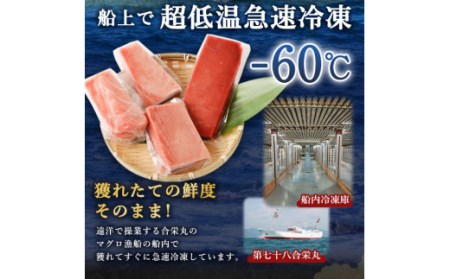 厳選 天然 本マグロ 中トロ 赤身 セット６００ｇ 以上 まぐろ 鮪 100% 冷凍 刺身 海鮮 丼 室戸 _ge004