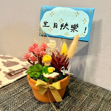 小王子 多肉盆栽 生日送禮星の王子さまLe Petit Prince 仿真多肉