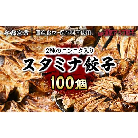 ふるさと納税 宇都宮餃子　ニンニクマシマシスタミナ餃子100個　保存料不使用 栃木県宇都宮市