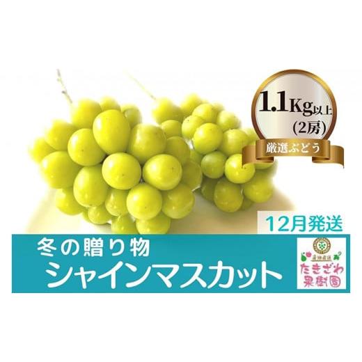 ふるさと納税 長野県 坂城町 冬の贈物 たきざわ果樹園の冷蔵シャインマスカット2房（1kg以上）
