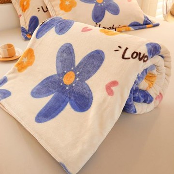 新款小清新牛奶絨毛毯雙面法萊絨絨毯子學生宿舍單人空調毯批發