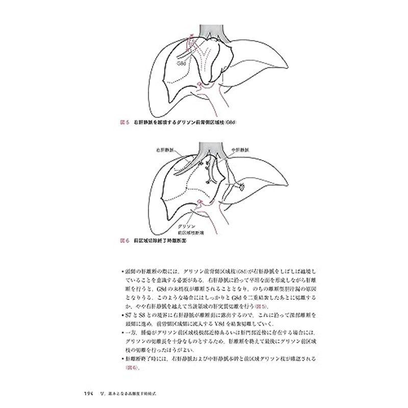 肝胆膵高難度外科手術Web動画付 第3版