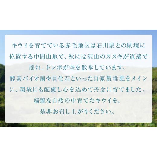 ふるさと納税 富山県 氷見市 氷見産キウイ（レインボーレッド）約1kg（8〜12玉）  ｜　富山県 氷見市 レインボーレッドキウイ 国産 キウイフルーツ