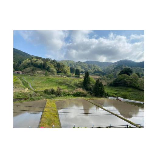 ふるさと納税 島根県 浜田市 736.弥栄町産特別栽培米「秘境奥島根弥栄」つや姫10kg