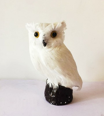 動物模型玩具 仿真貓頭鷹 帶蹲羽毛鷹  攝影教科器材